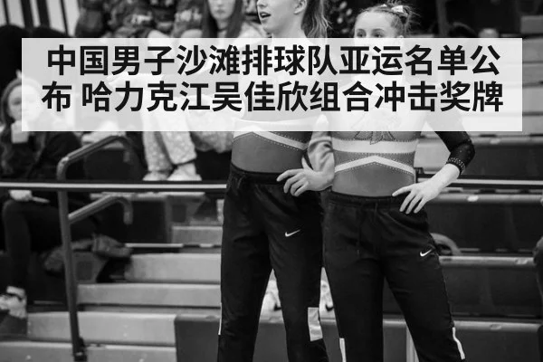 中国男子沙滩排球队亚运名单公布 哈力克江吴佳欣组合冲击奖牌
